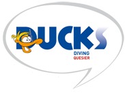 Ducks Diving Quesier